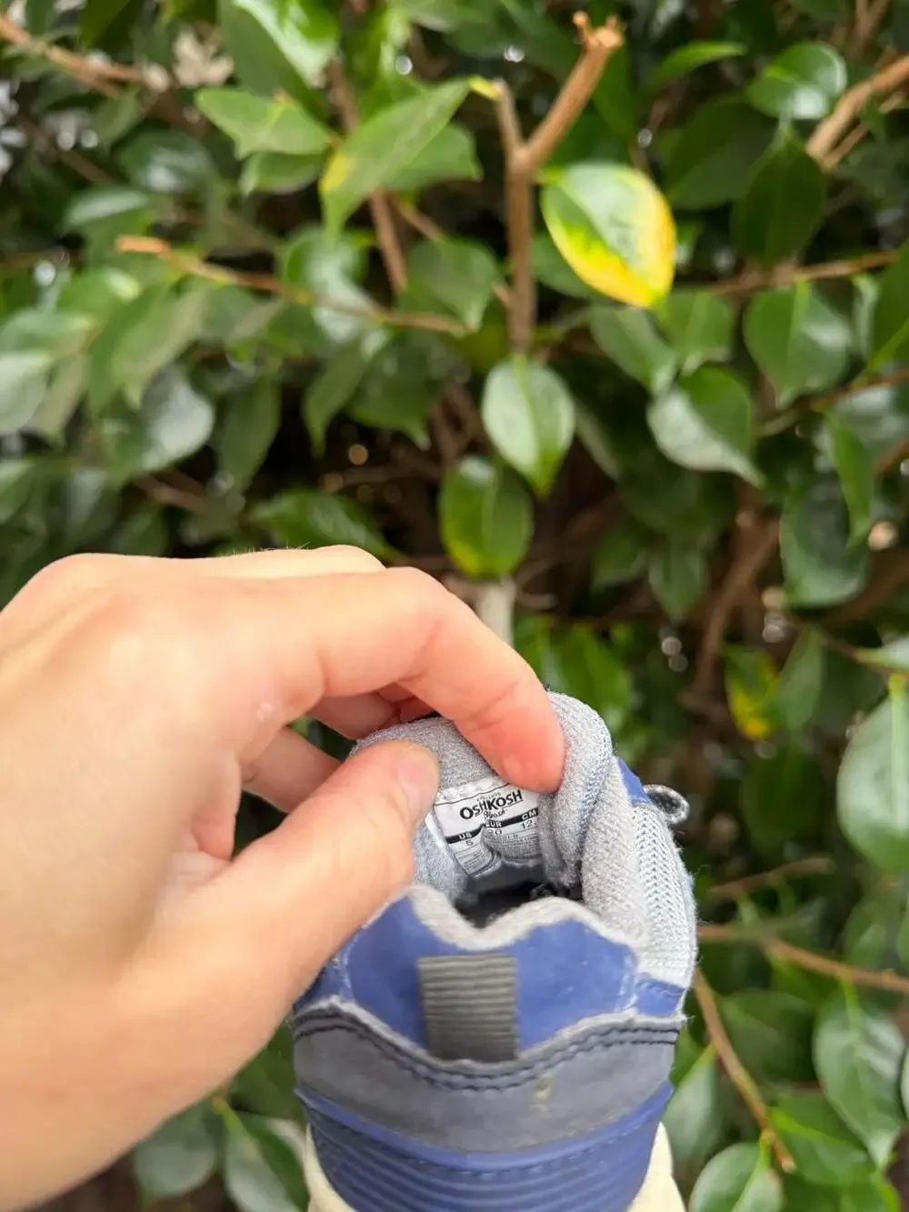 Y2K OshKosh B'Gosh Toddler Athletic Sneakers